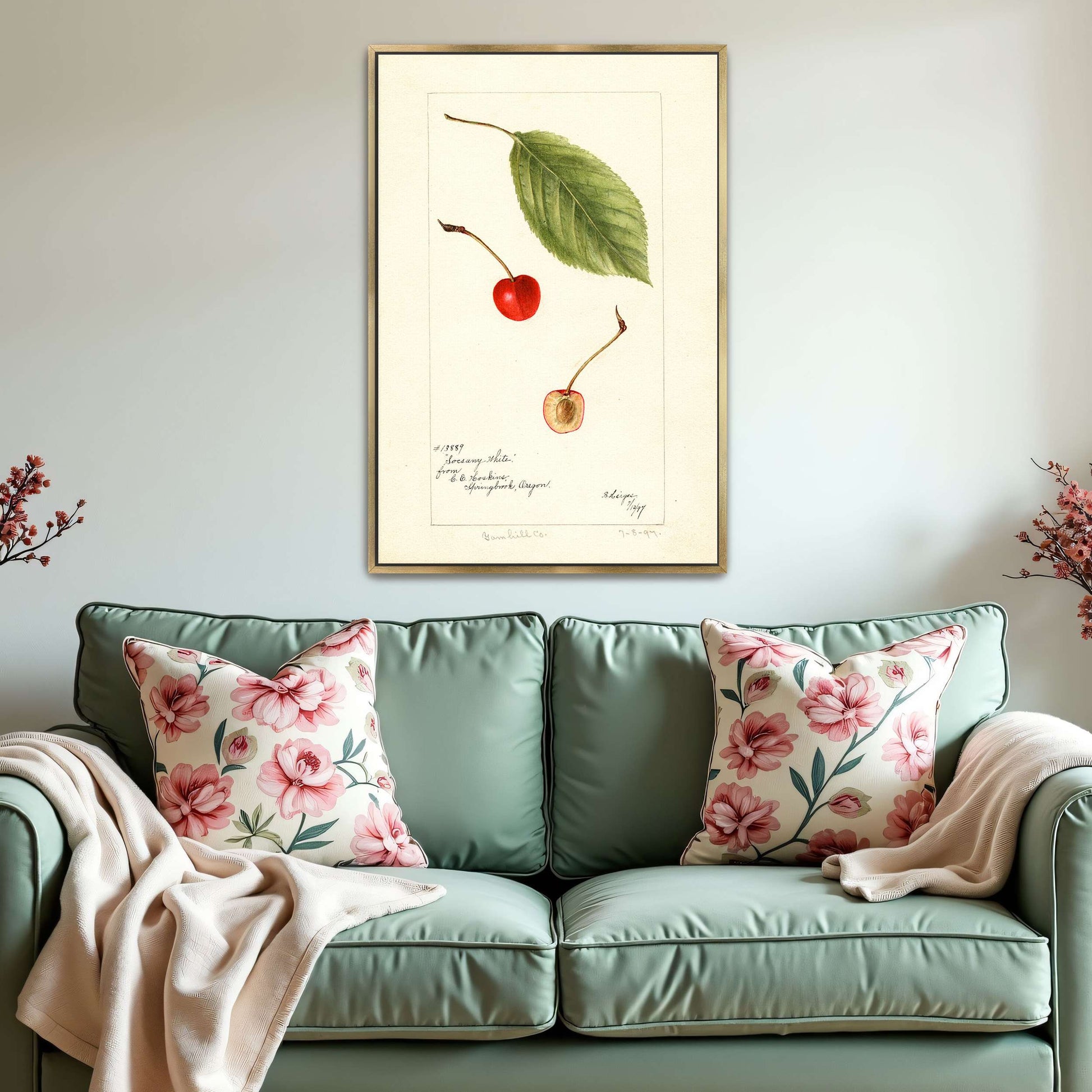 Cherry leaf and fruit watercolor by Bertha Heiges