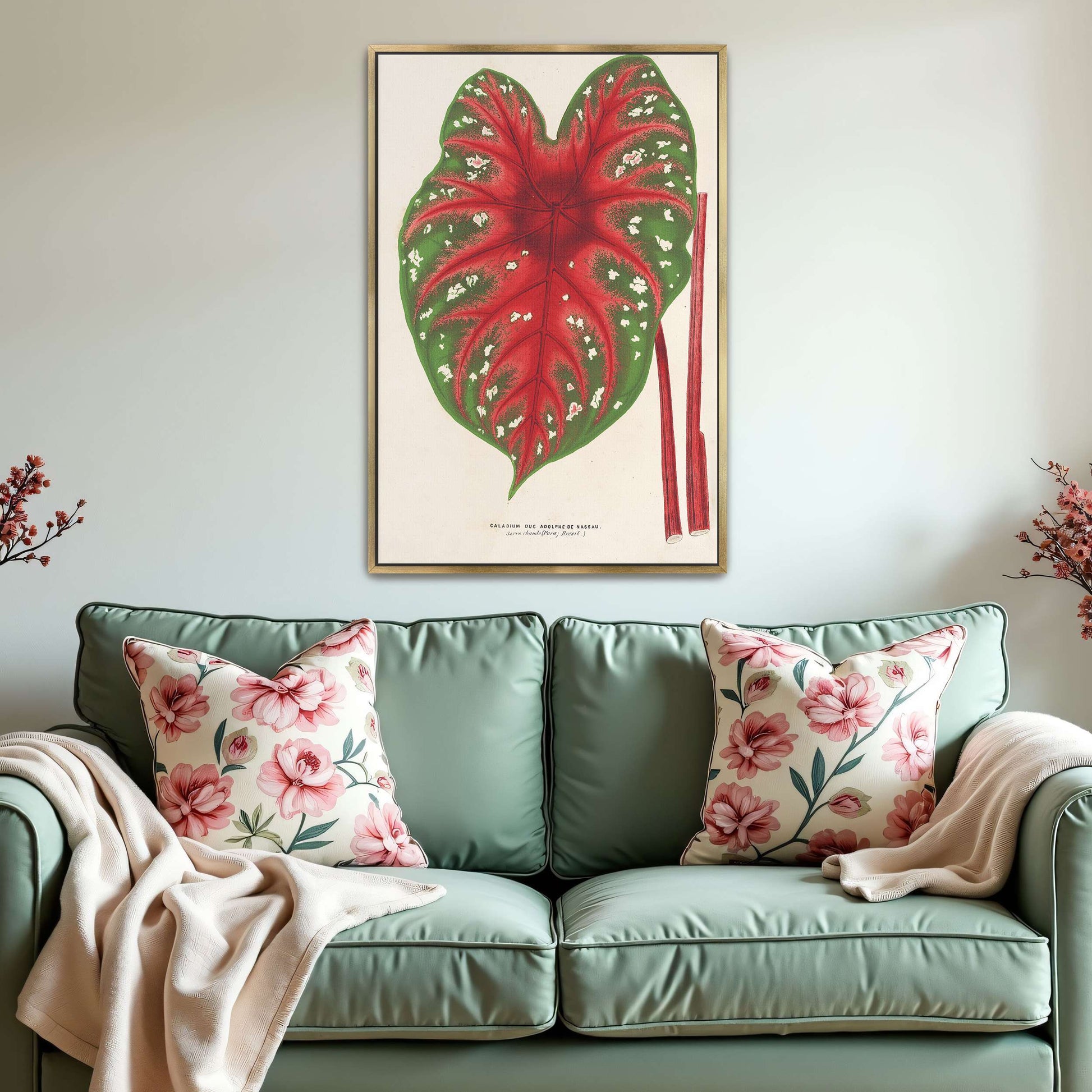Caladium leaf botanical illustration by Charles Antoine Lemaire