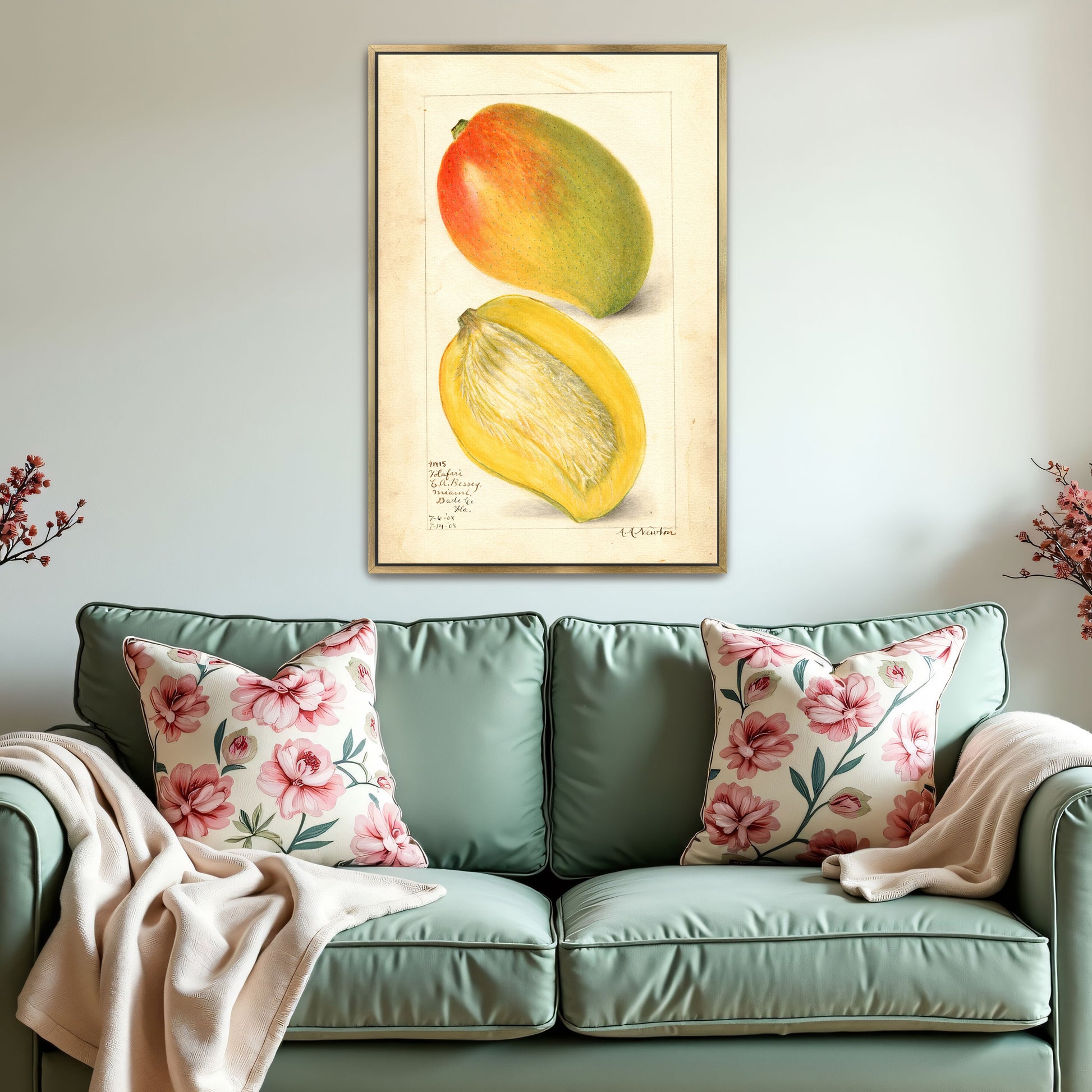 Watercolor Painting Of Two Mangoes By Amanda Almira Newton