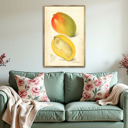 Watercolor Painting Of Two Mangoes By Amanda Almira Newton