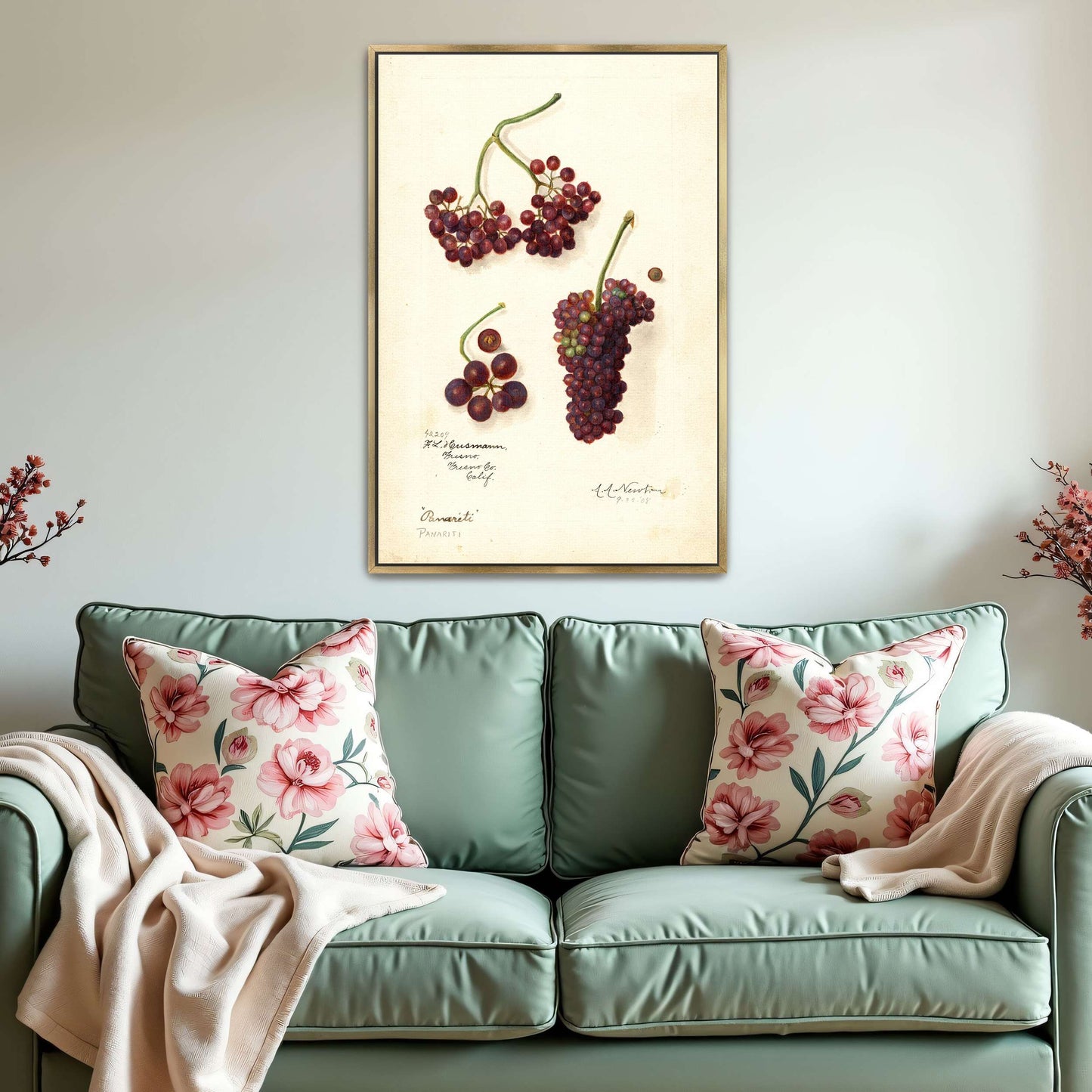 Grape and berry watercolor by Amanda Almira Newton