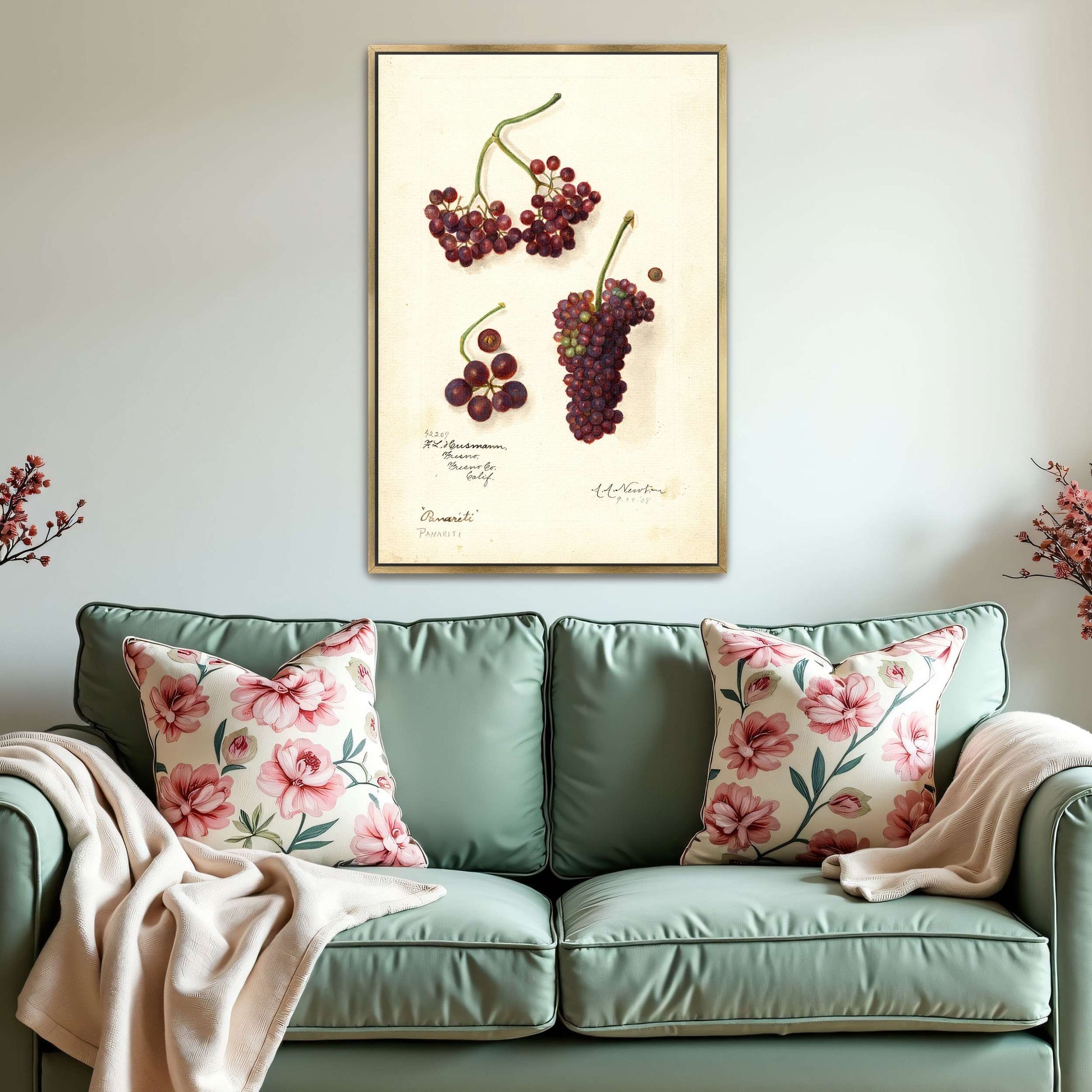 Grape and berry watercolor by Amanda Almira Newton