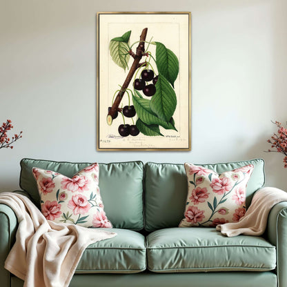 Black Republican Cherries by William Henry Prestele