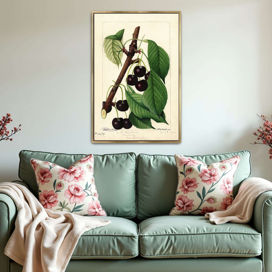 Black Republican Cherries by William Henry Prestele