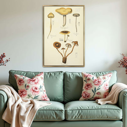 Mushroom illustration plate by Guillaume Sicard