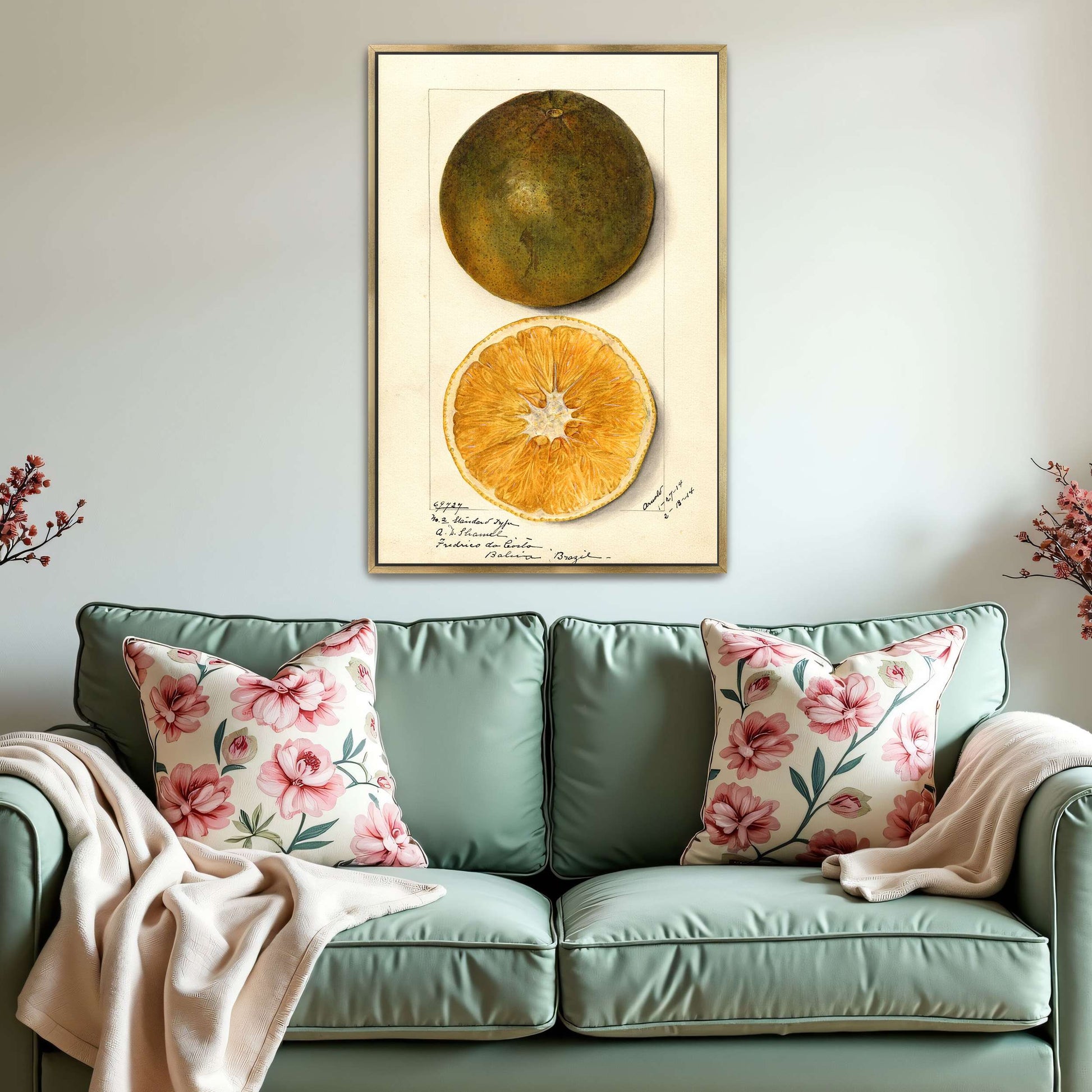 Orange fruit watercolor painting by Mary Daisy Arnold