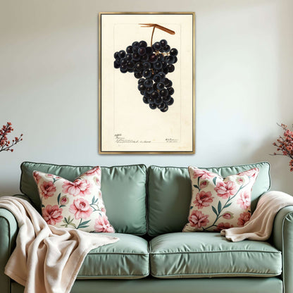 Dark Grapes on Vine by Deborah Griscom Passmore