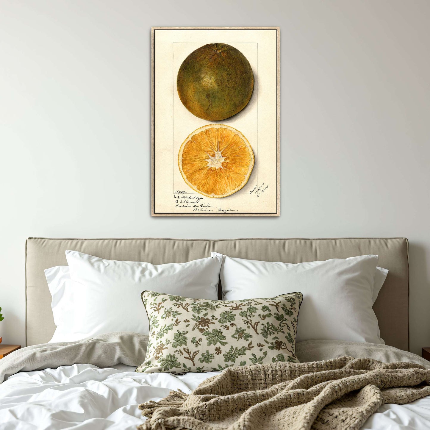 Orange fruit watercolor painting by Mary Daisy Arnold