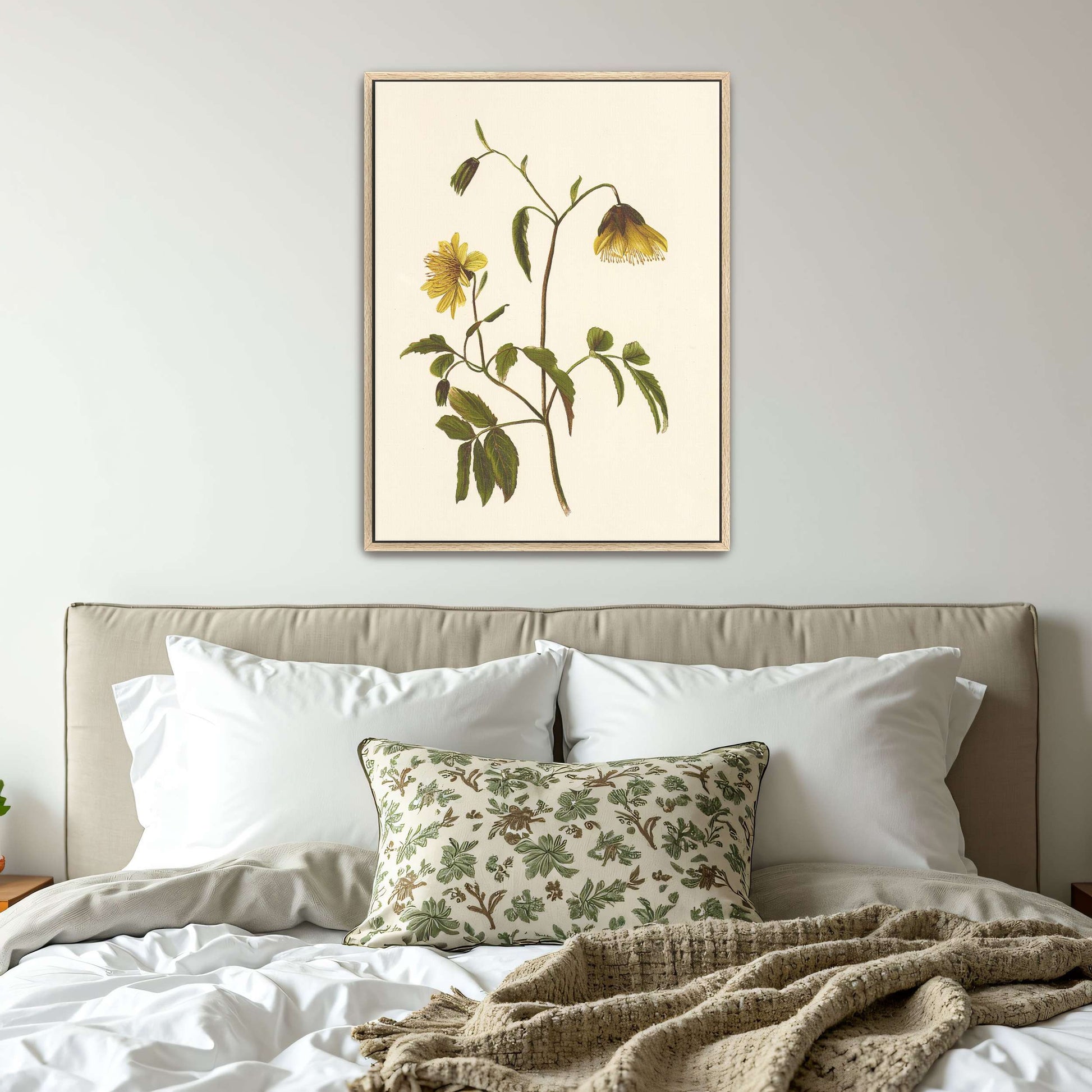Hawaiian yellow flower illustration by Isabella McHutcheson Sinclair