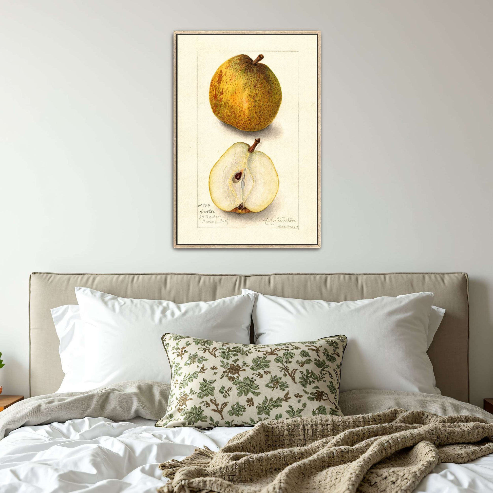 Watercolor painting of pears by Amanda Almira Newton