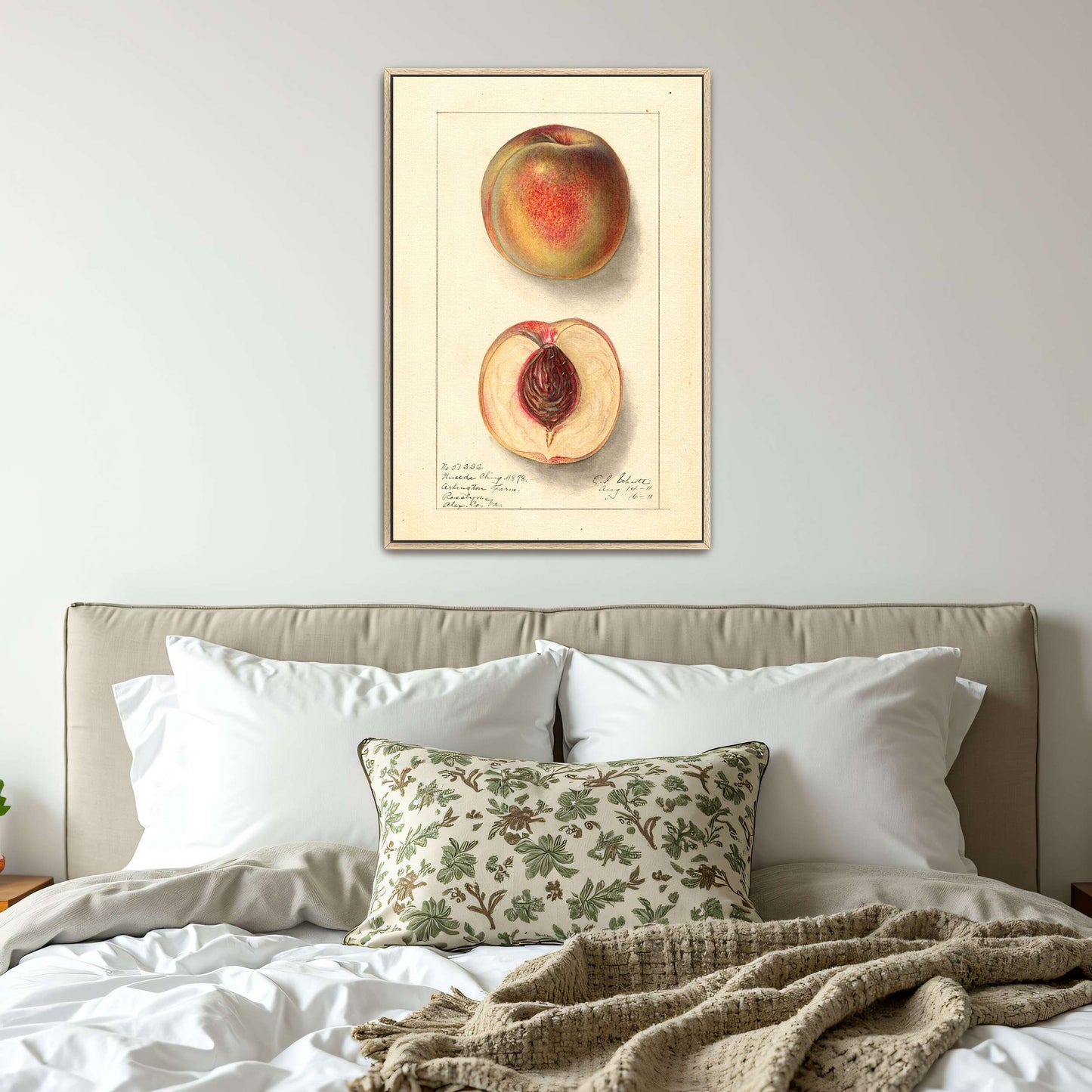Peach Watercolor Painting by Ellen Isham Schutt