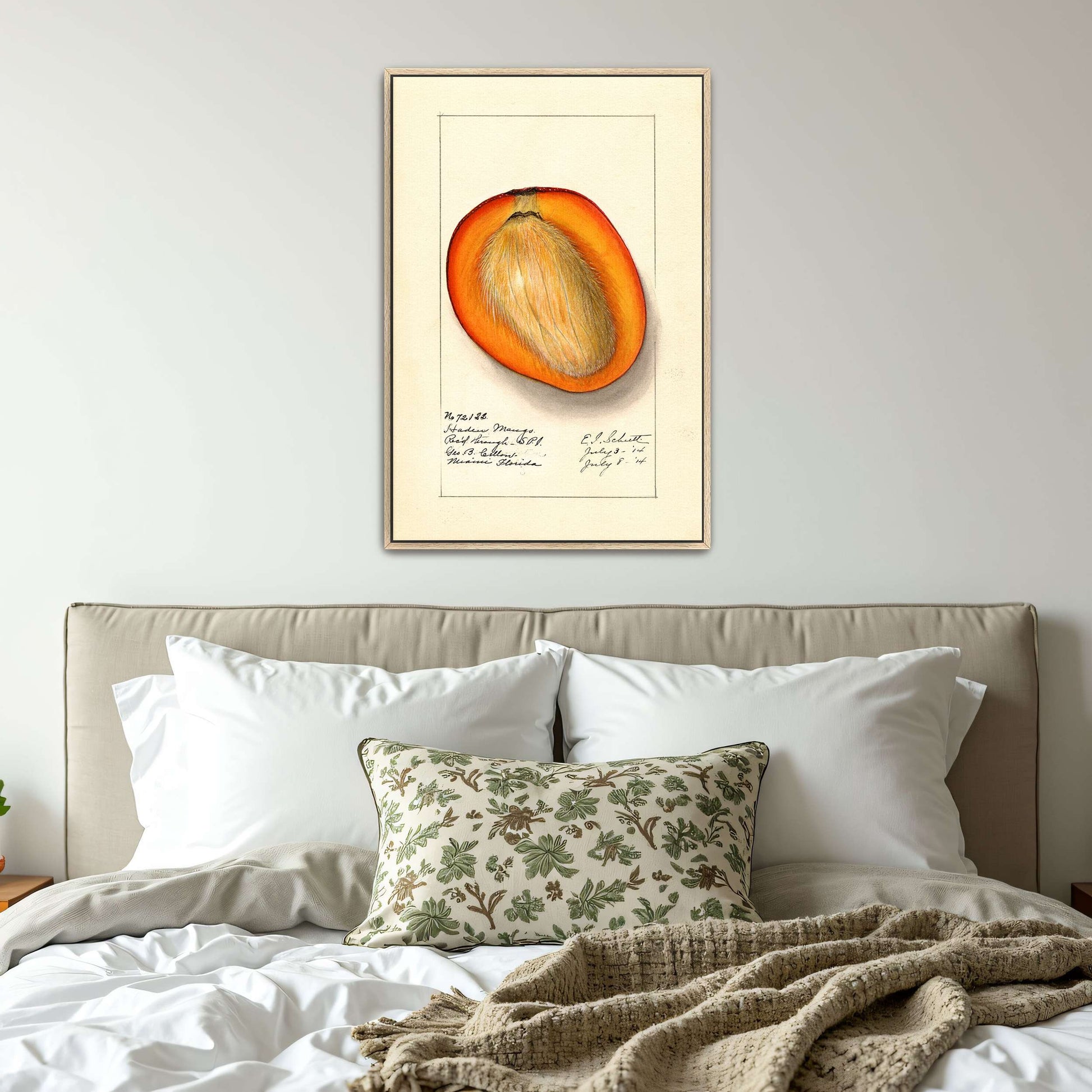 Haden Mango cross-section by Ellen Isham Schutt