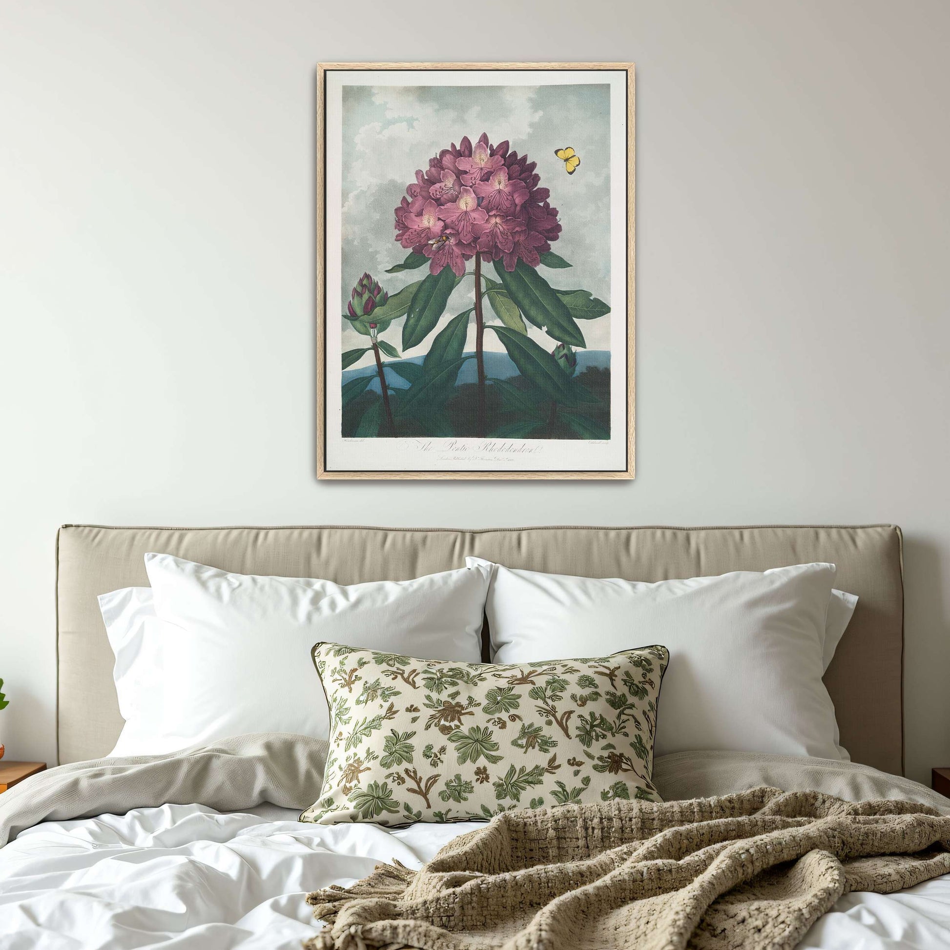 Pink Rhododendron with Insects by Robert John Thornton