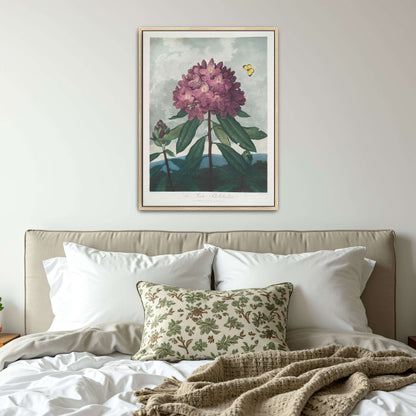 Pink Rhododendron with Insects by Robert John Thornton