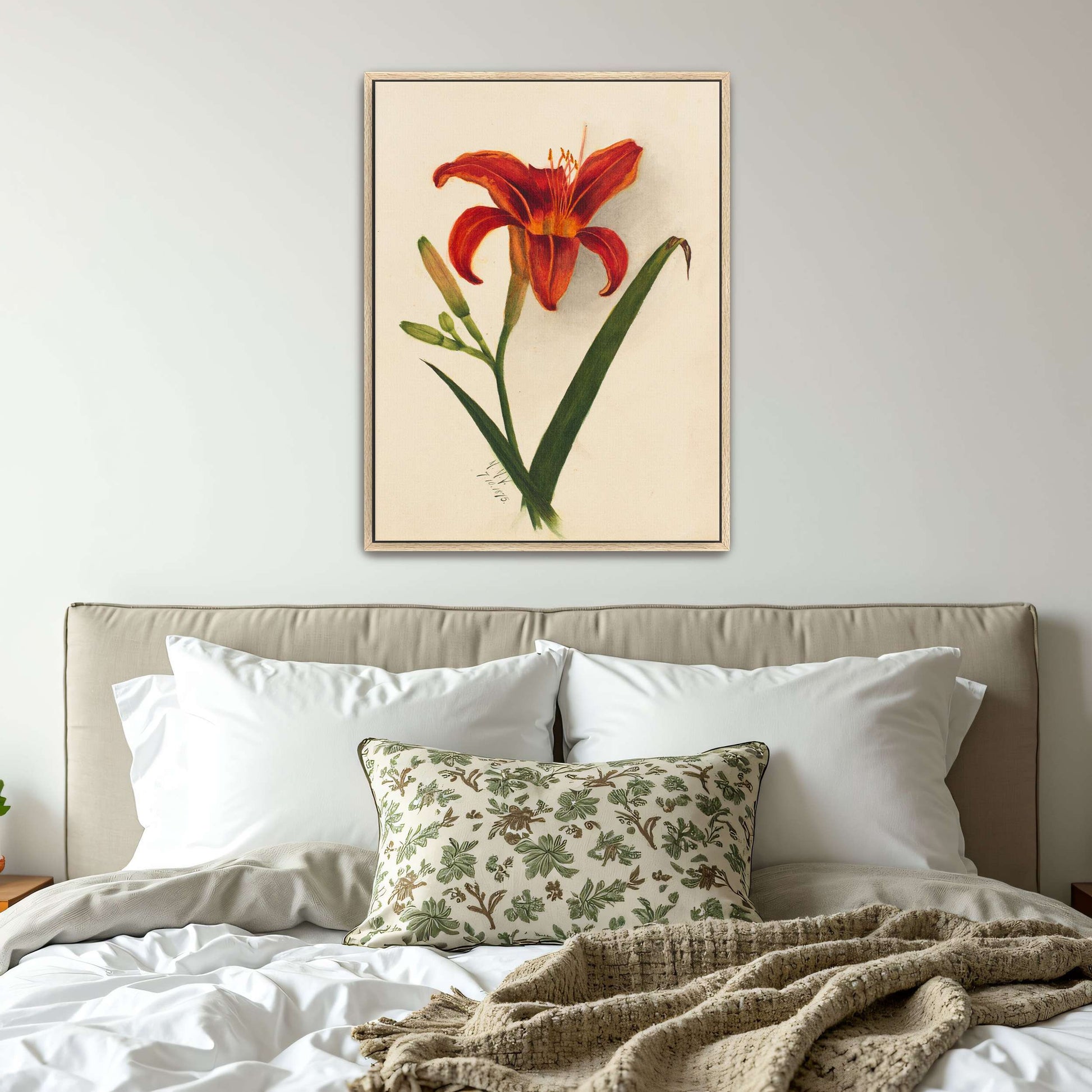 Orange daylily watercolor painting by Mary Vaux Walcott