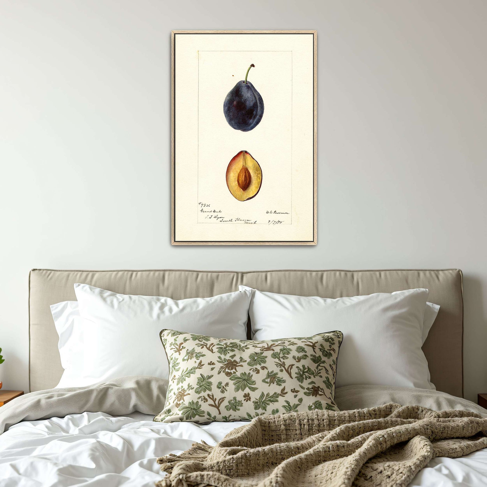 Plum watercolor painting by Deborah Griscom Passmore