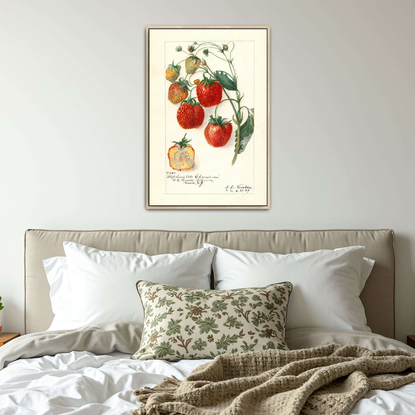 Watercolor painting of strawberries by Amanda Almira Newton
