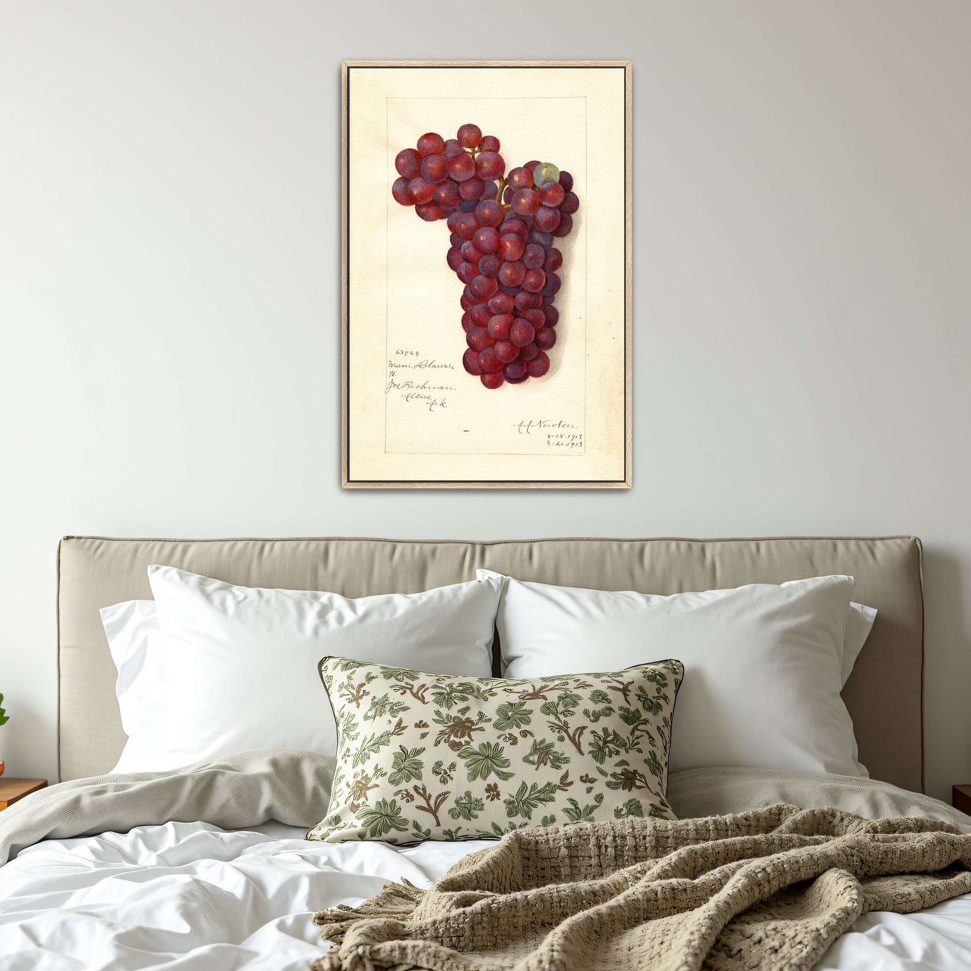 Watercolor painting of grapes by Amanda Almira Newton