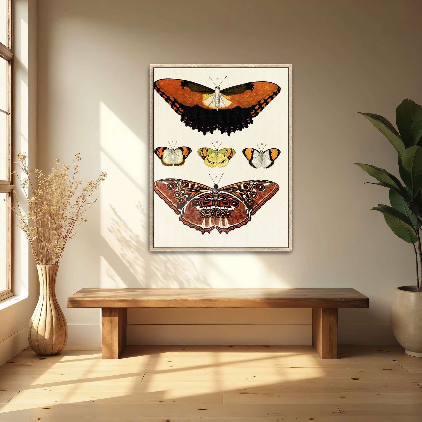 Five butterflies on white background by Pieter Cramer