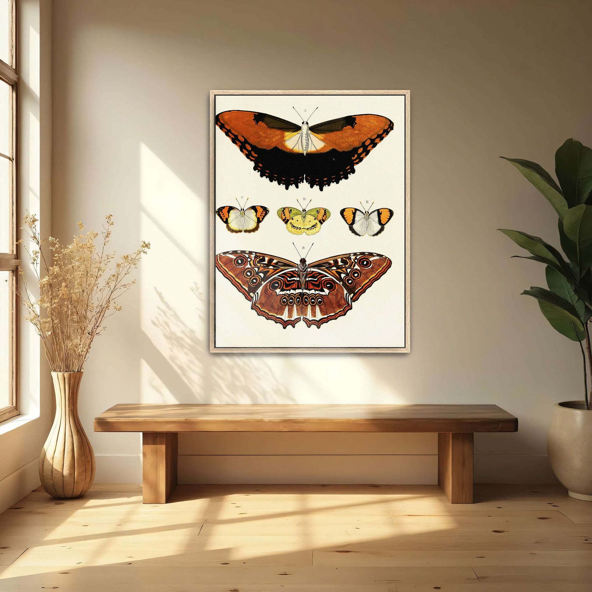 Five butterflies on white background by Pieter Cramer