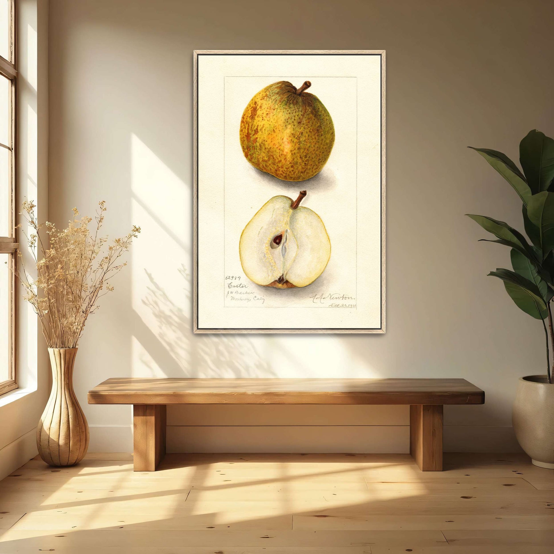 Watercolor painting of pears by Amanda Almira Newton