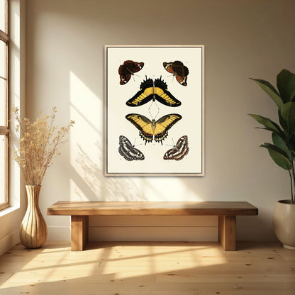 Five Butterflies, Yellow, Brown, Black, White By Pieter Cramer