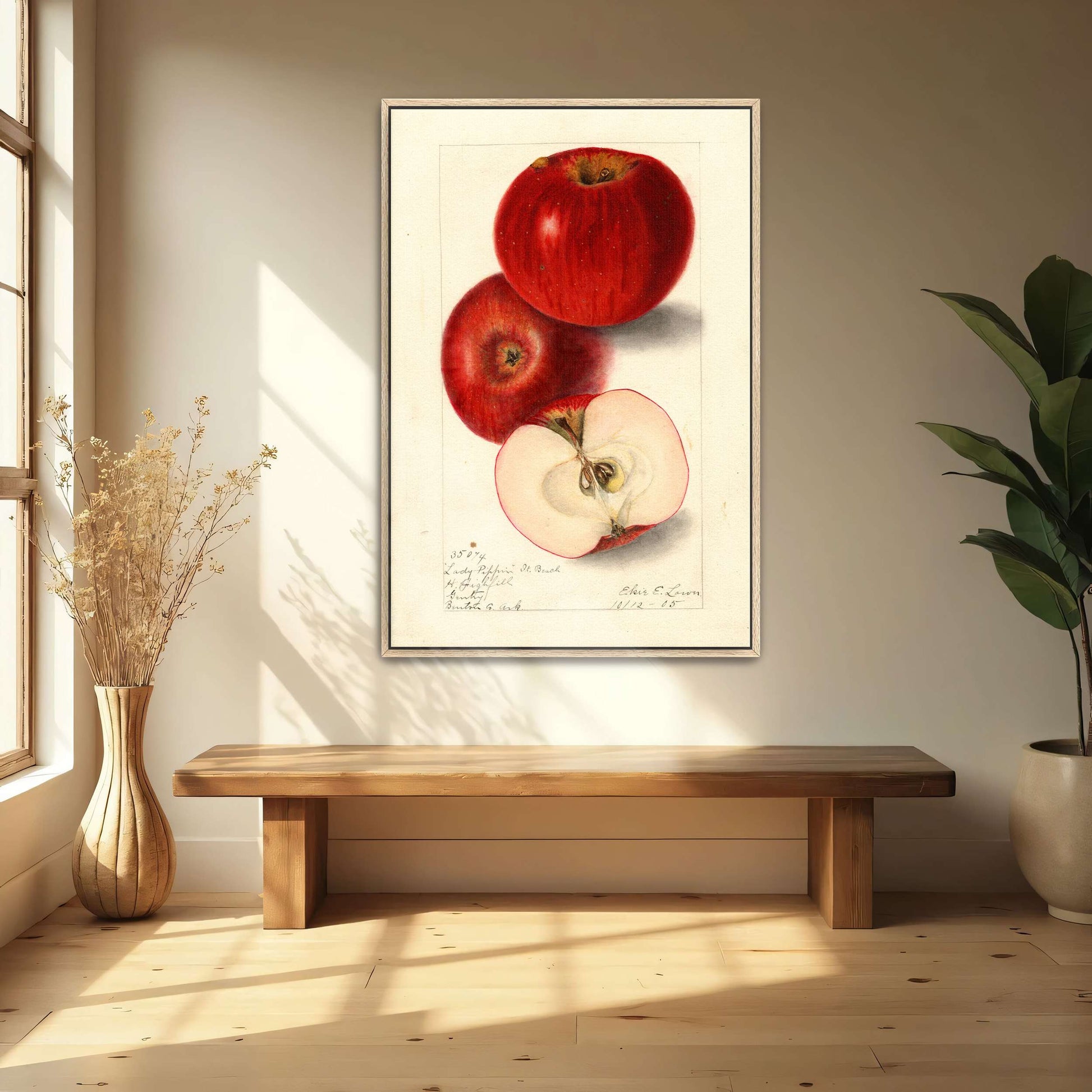 Three red apples, watercolor painting by Elsie E. Lower