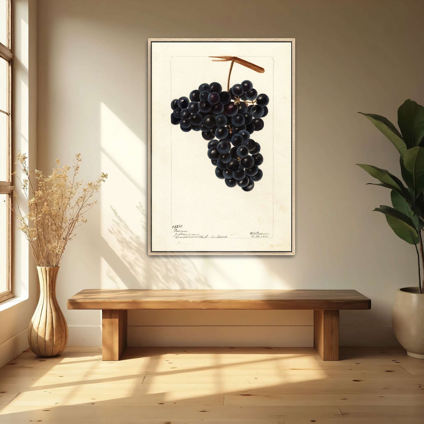 Dark Grapes on Vine by Deborah Griscom Passmore