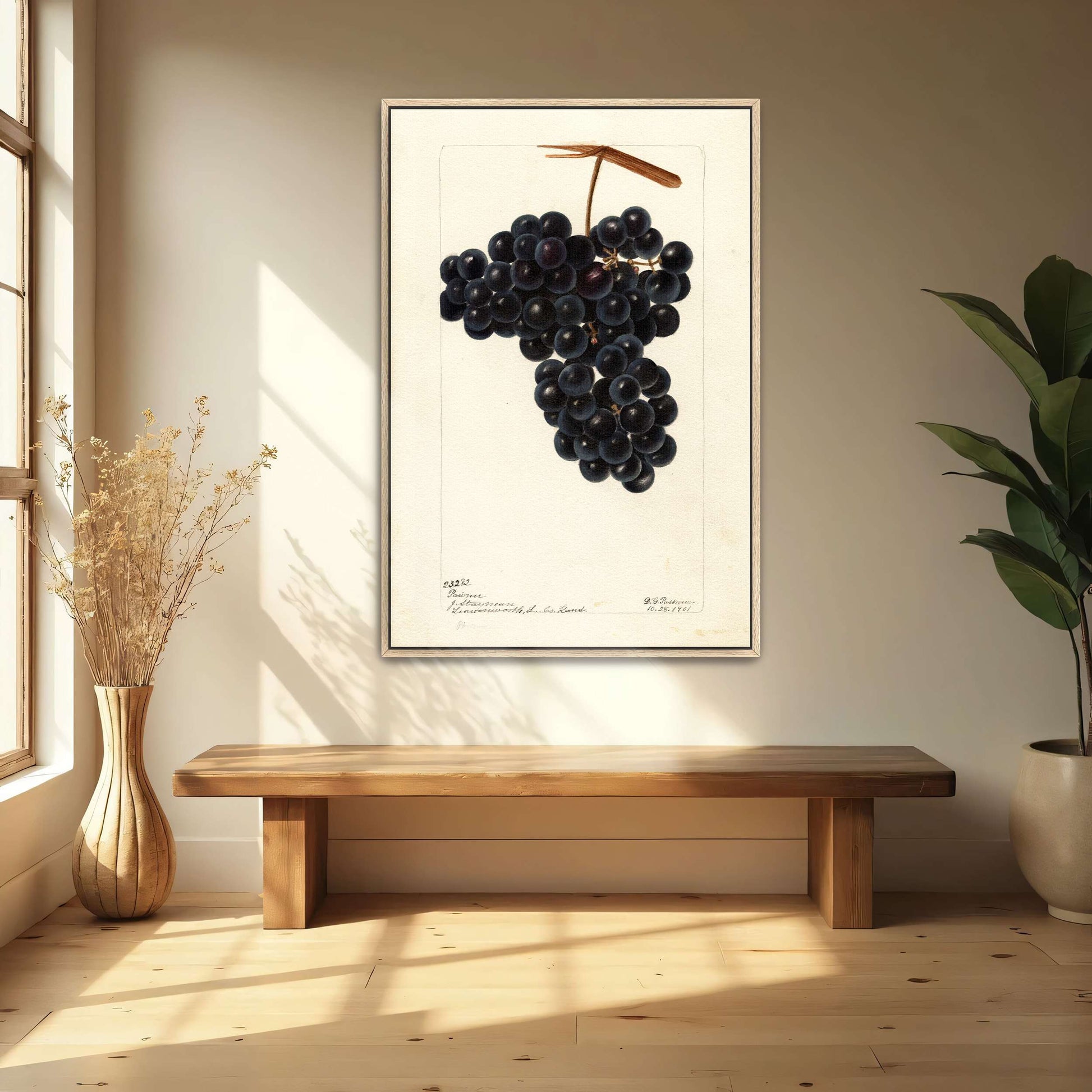 Dark Grapes on Vine by Deborah Griscom Passmore
