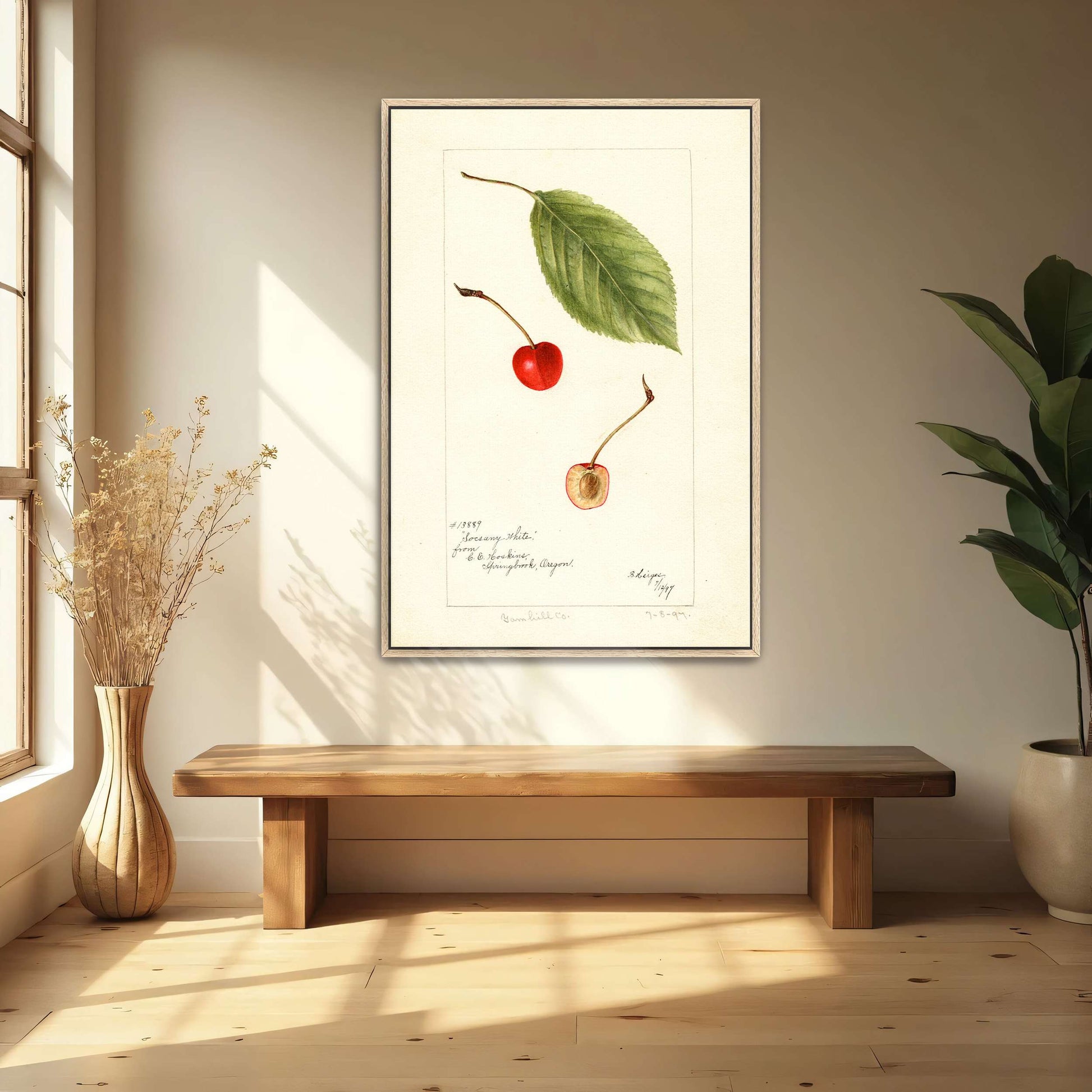 Cherry leaf and fruit watercolor by Bertha Heiges