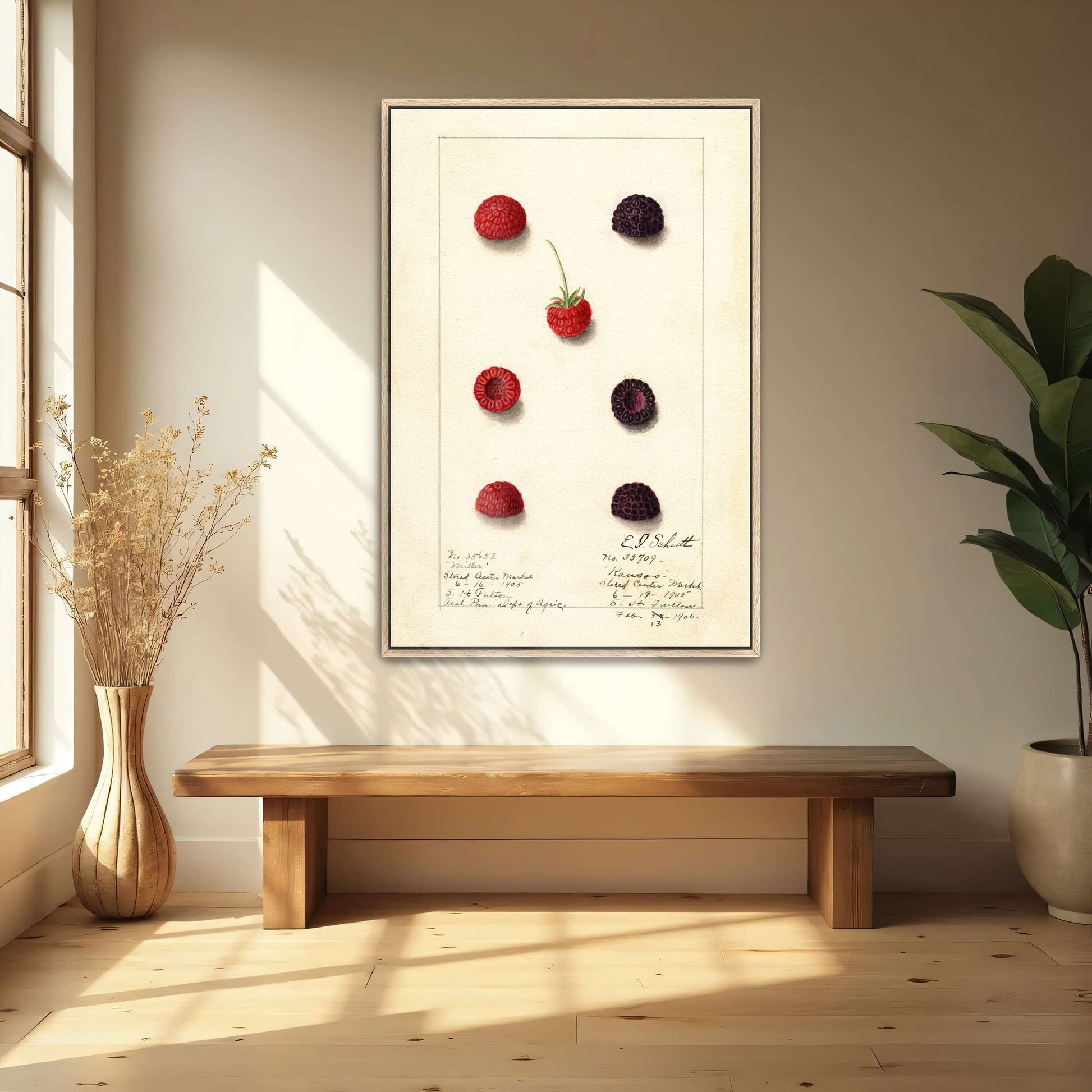 Watercolor painting of raspberries by Yara Rabibzad