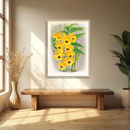 Yellow orchid botanical illustration by Jean Jules Linden