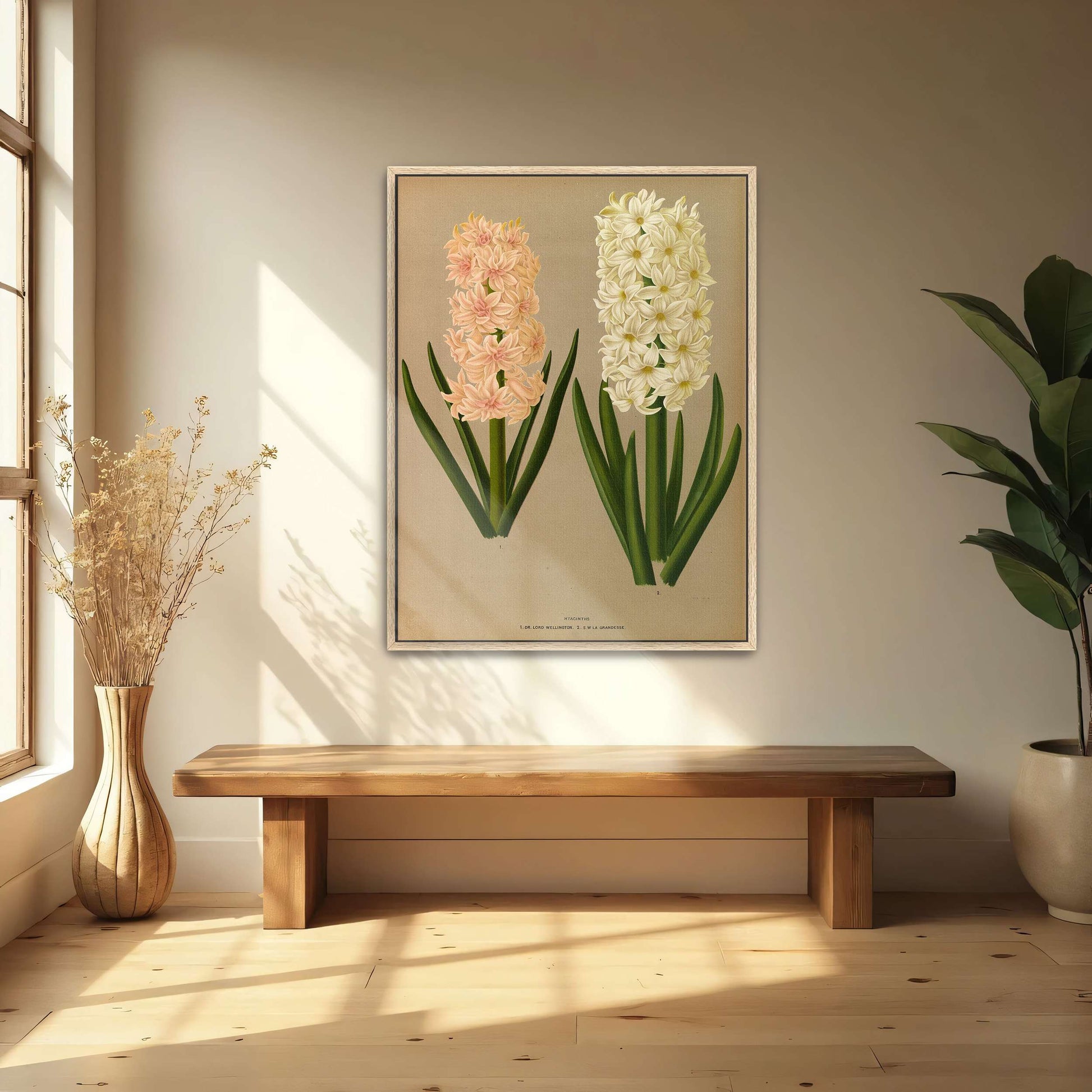 Two Hyacinth Flowers by Arentina Hendrica Arendsen