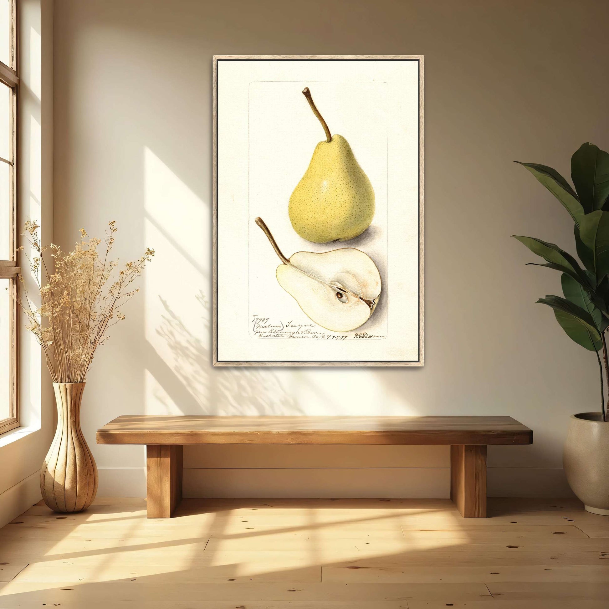Watercolor pear painting by Deborah Griscom Passmore