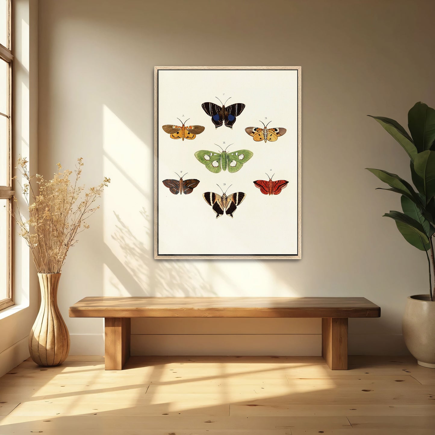 Exotic Butterflies Illustration By Pieter Cramer