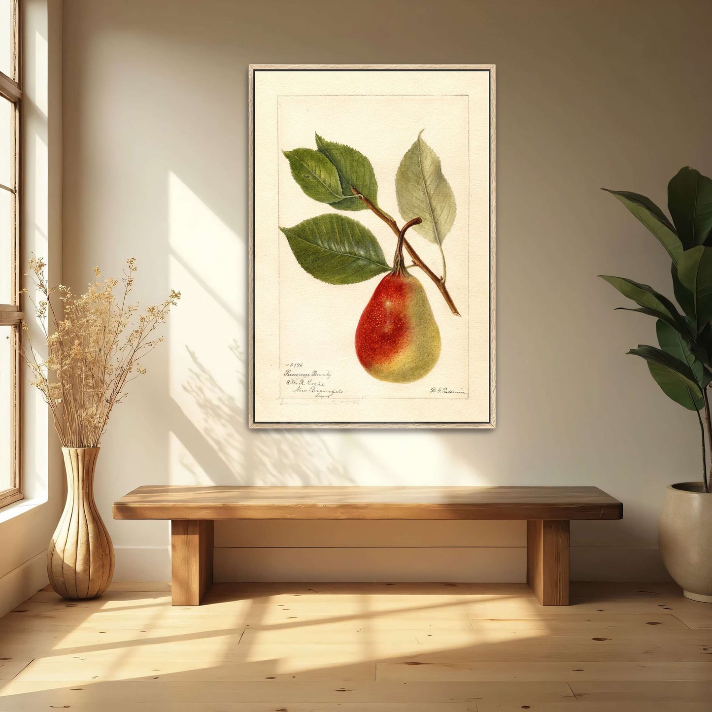 Summer Beauty pear watercolor by Deborah Griscom Passmore