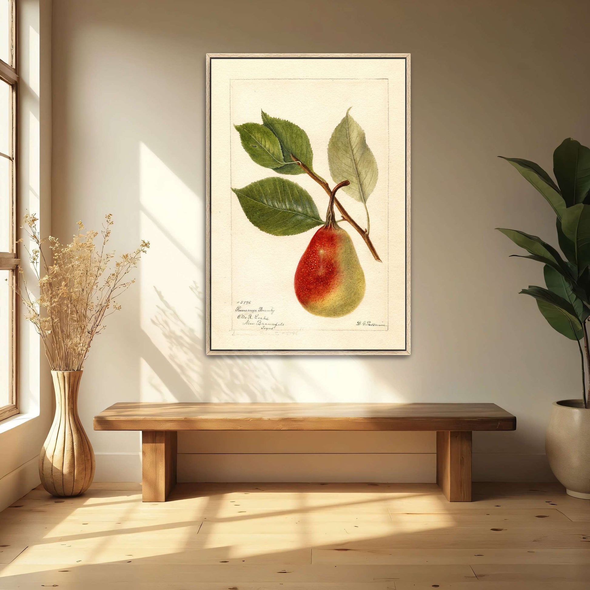 Summer Beauty pear watercolor by Deborah Griscom Passmore
