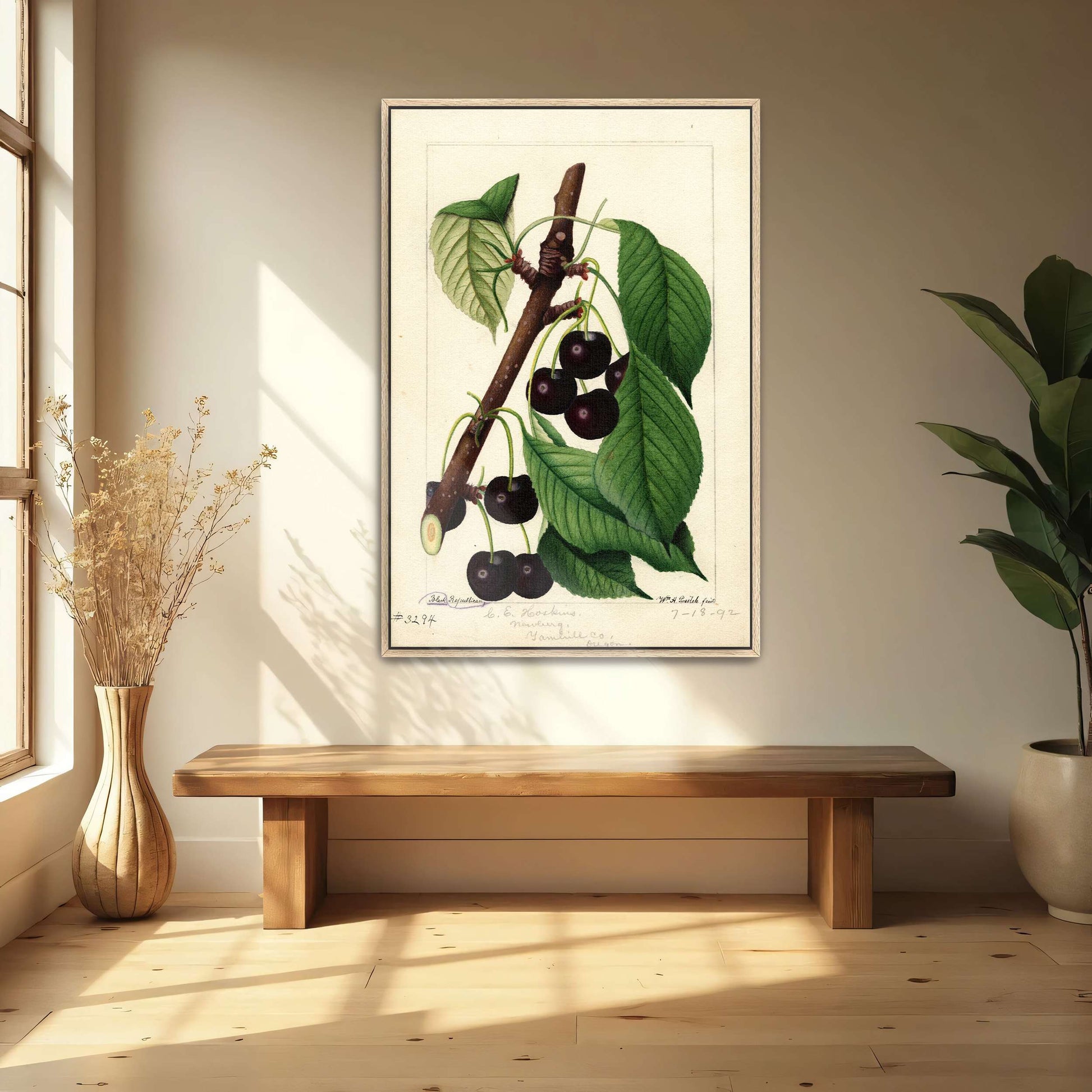 Black Republican Cherries by William Henry Prestele