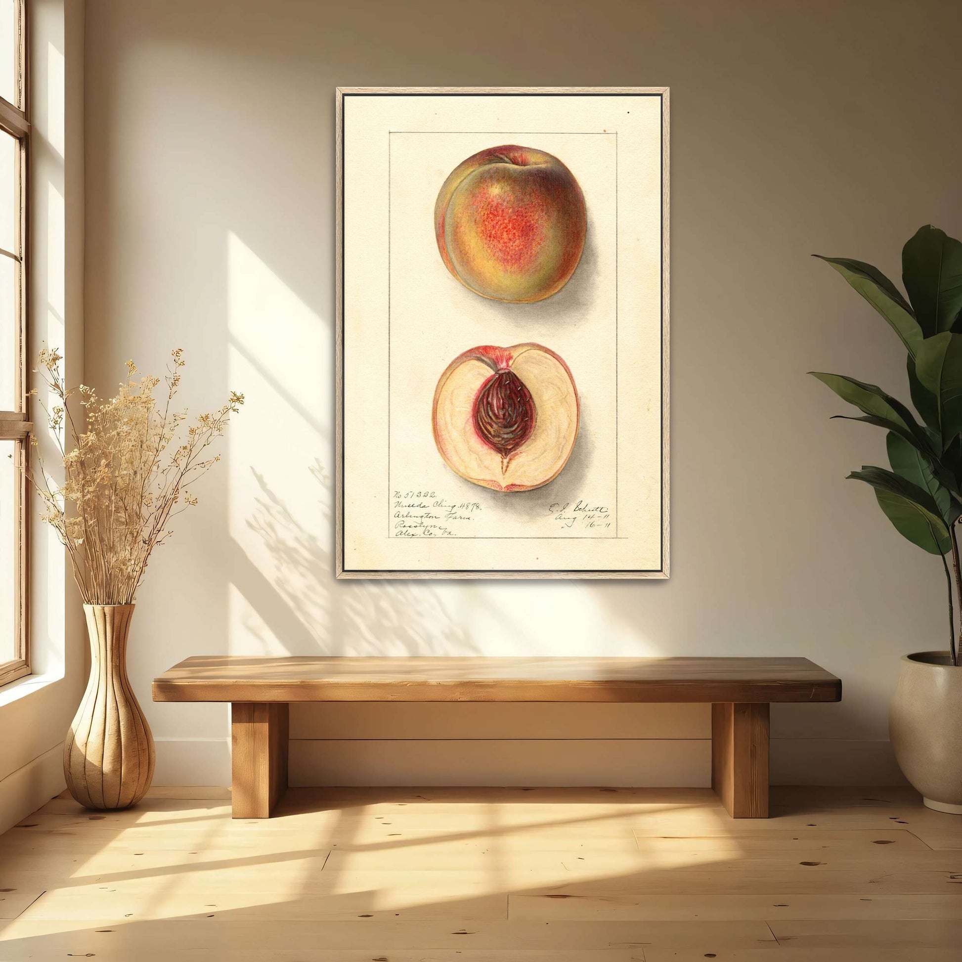Peach Watercolor Painting by Ellen Isham Schutt