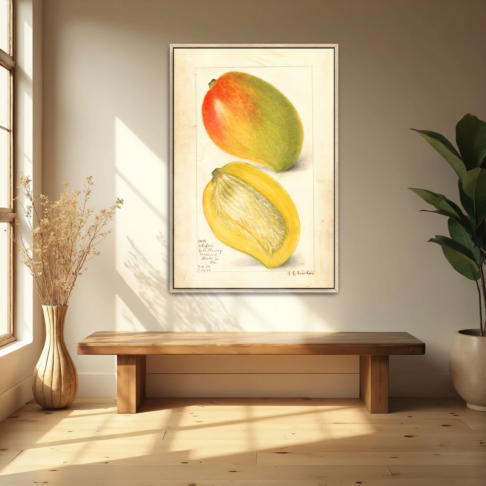 Watercolor Painting Of Two Mangoes By Amanda Almira Newton