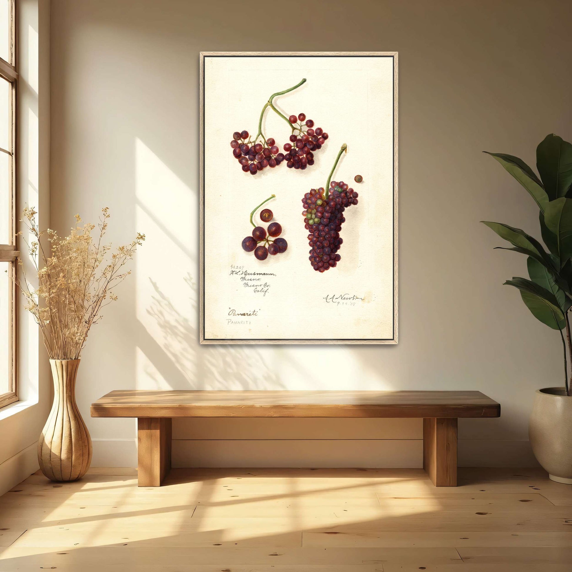 Grape and berry watercolor by Amanda Almira Newton