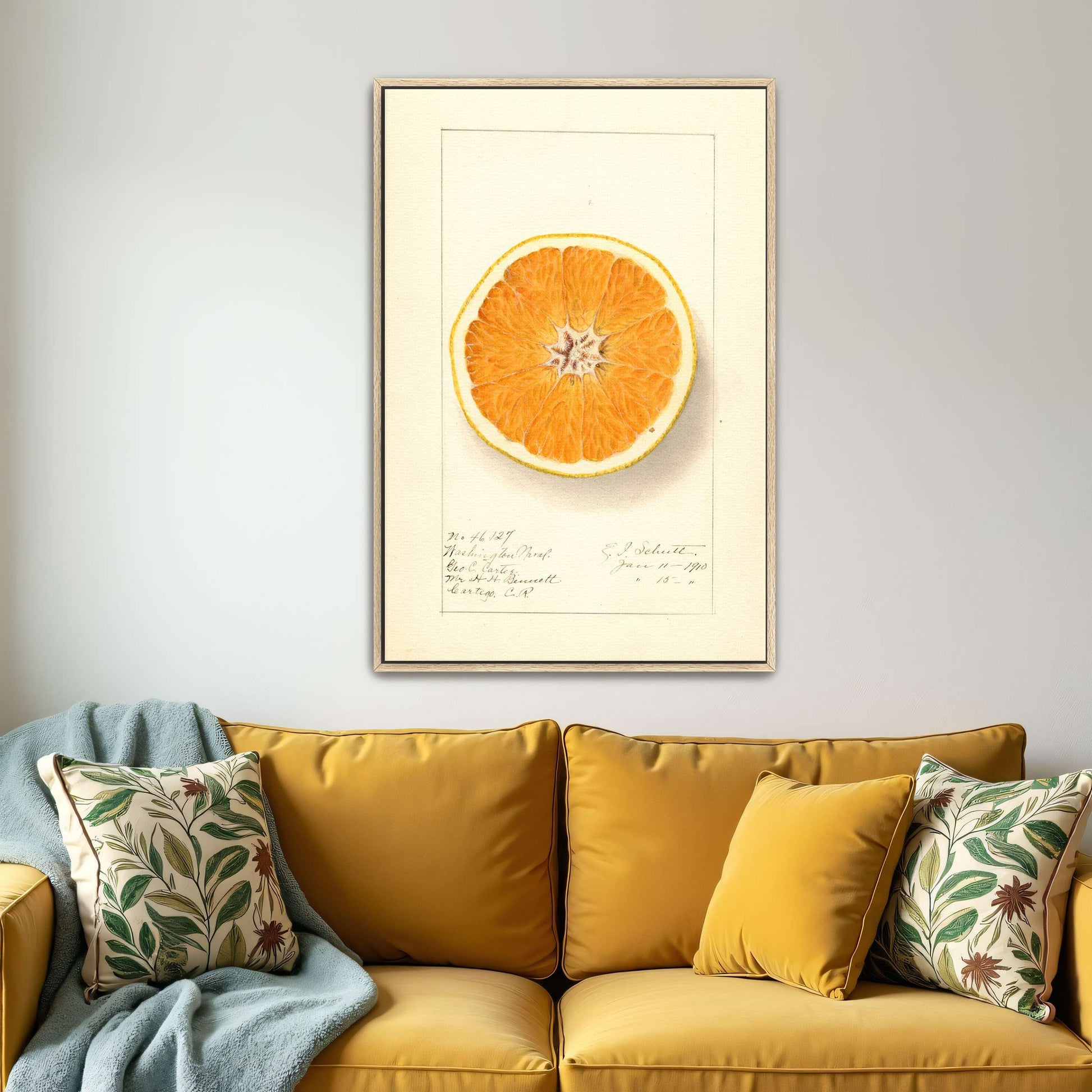 Orange cross-section watercolor by Ellen Isham Schutt