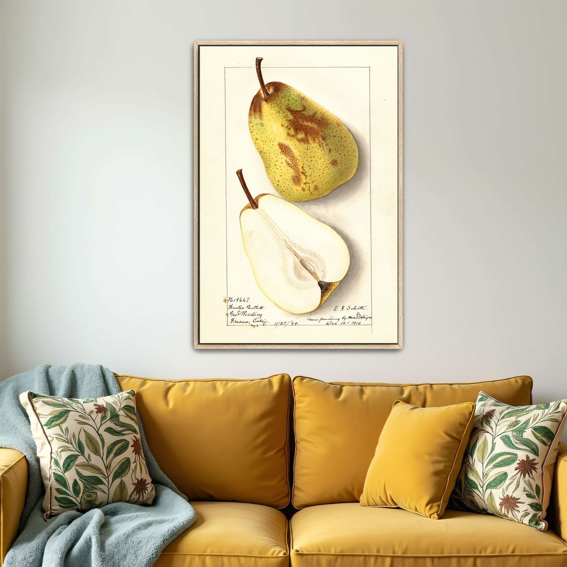 Watercolor pear painting by Ellen Isham Schutt