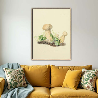 Mushrooms in grass illustration by Anna Maria Hussey