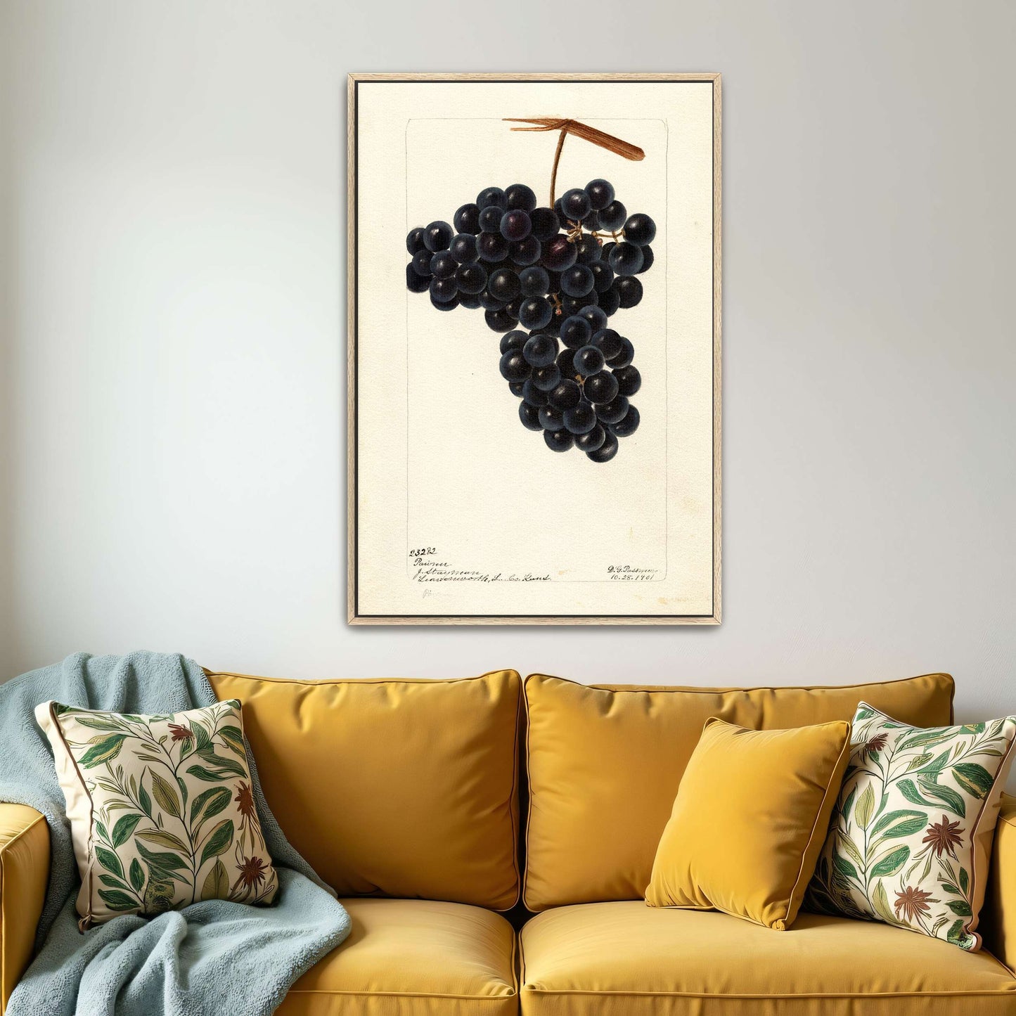 Dark Grapes on Vine by Deborah Griscom Passmore