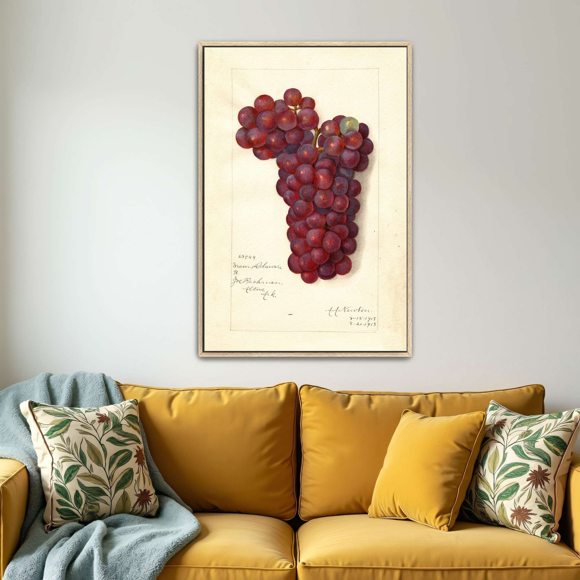 Watercolor painting of grapes by Amanda Almira Newton