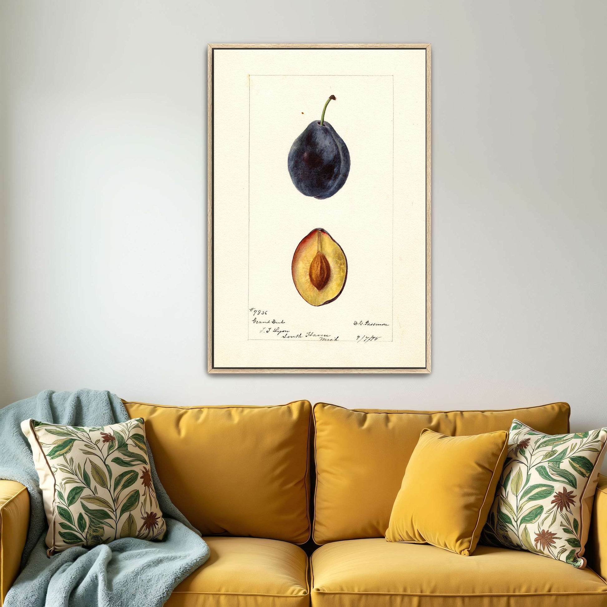 Plum watercolor painting by Deborah Griscom Passmore