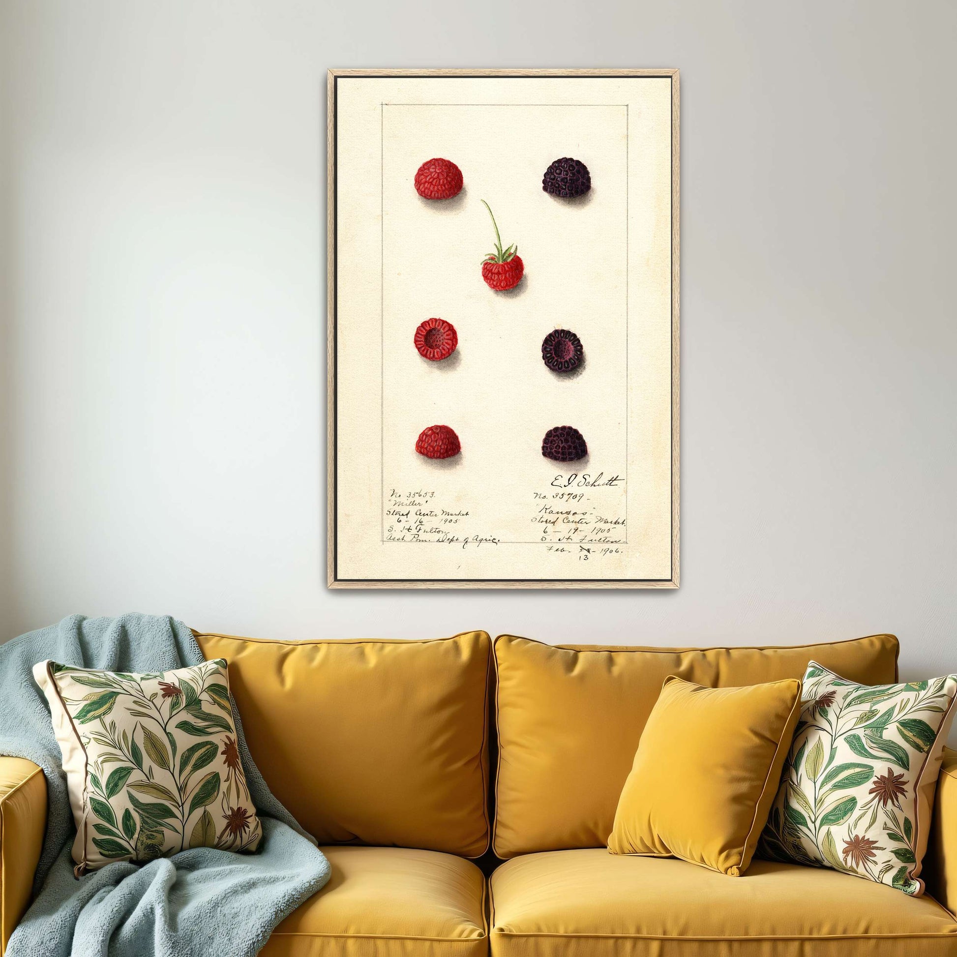 Watercolor painting of raspberries by Yara Rabibzad