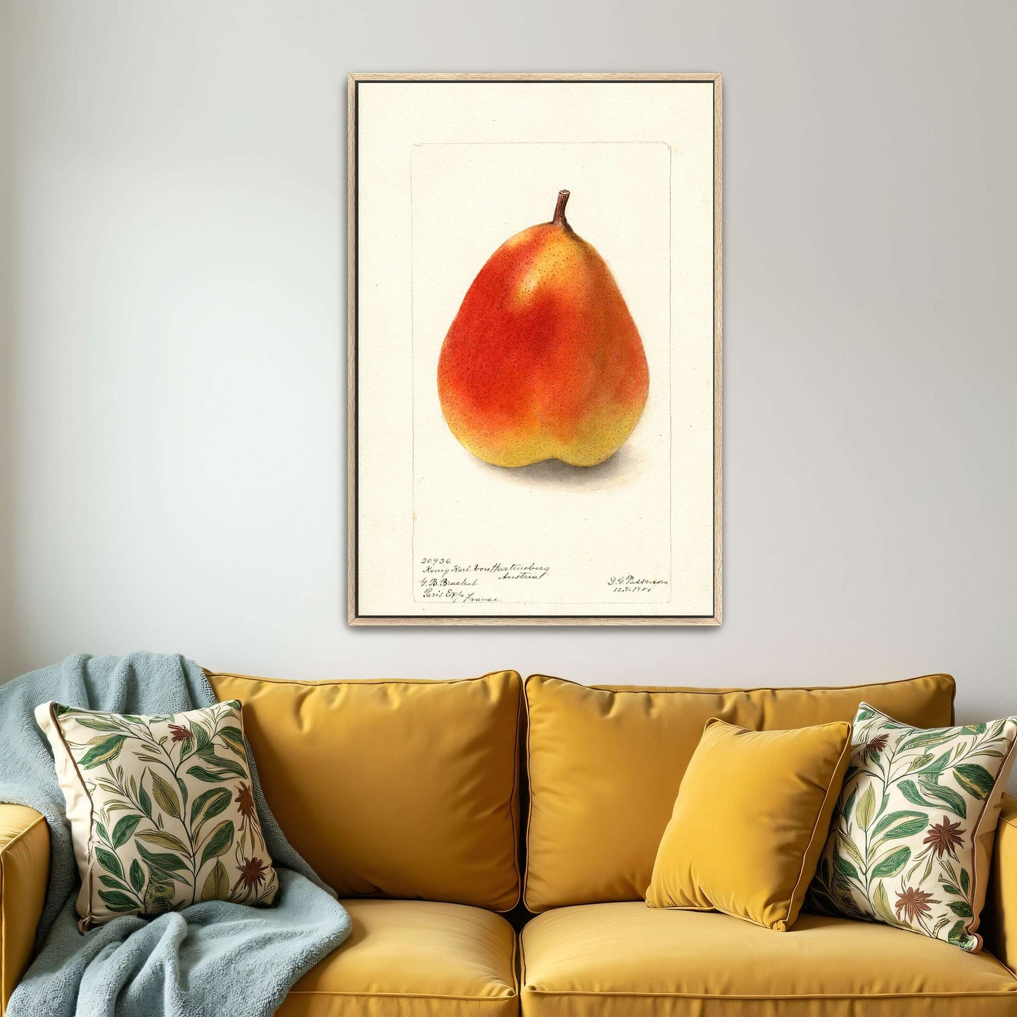 Watercolor painting of a pear by Deborah Griscom Passmore
