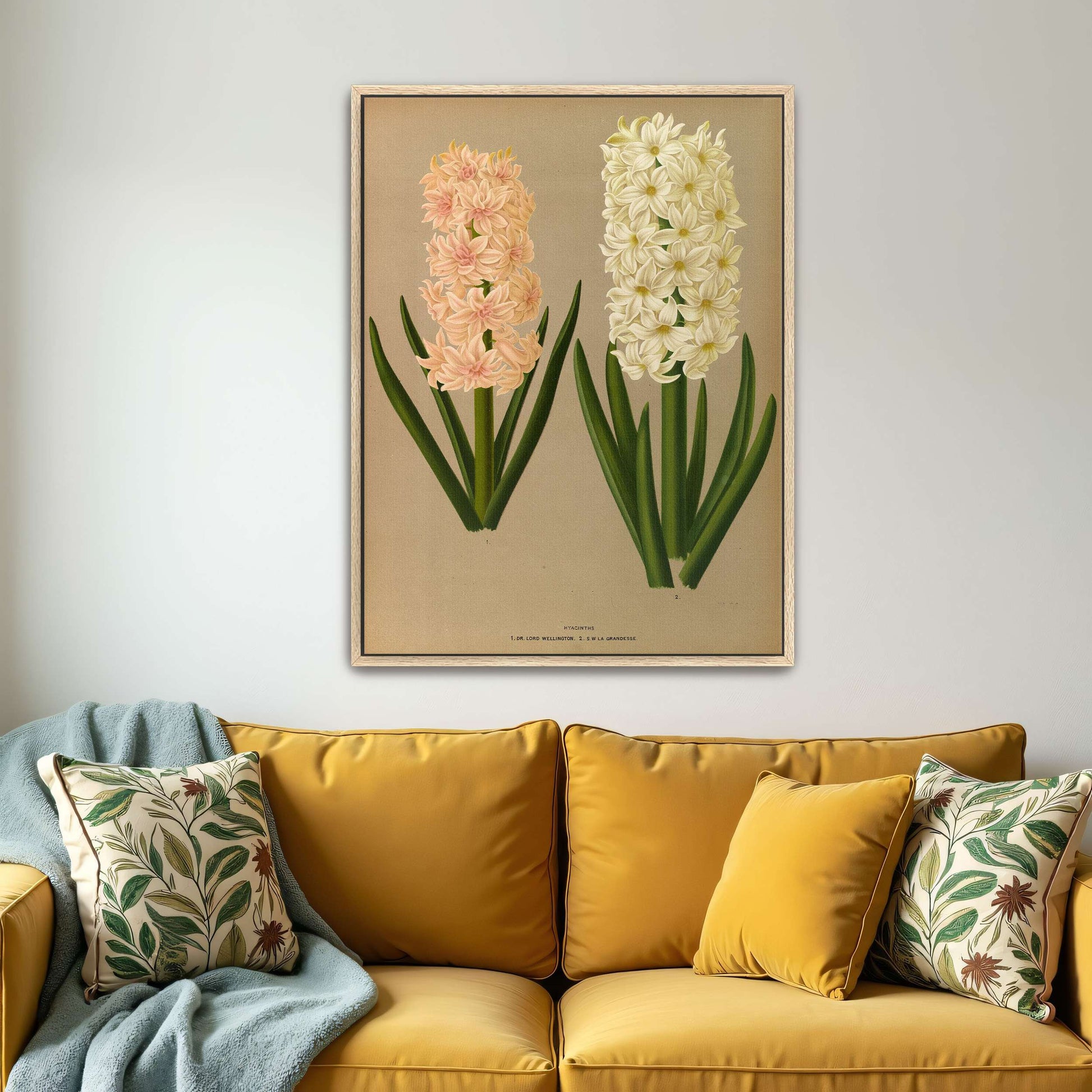 Two Hyacinth Flowers by Arentina Hendrica Arendsen